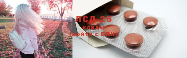 стаф Беломорск