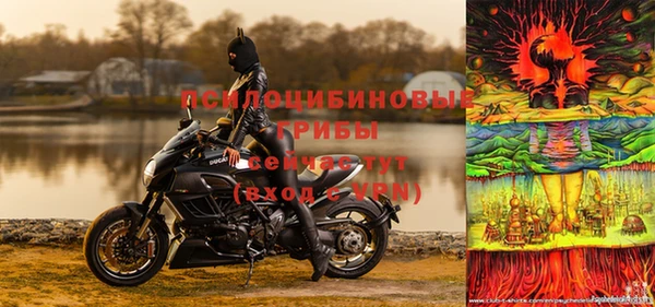 стаф Беломорск