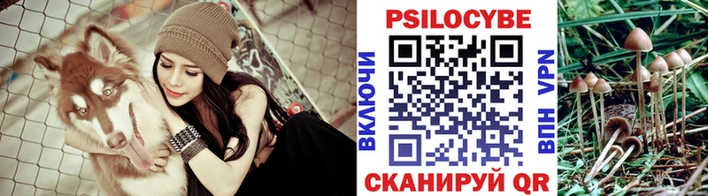 Галлюциногенные грибы мухоморы  Гатчина 